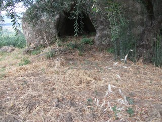 Grotticelle di Orgale